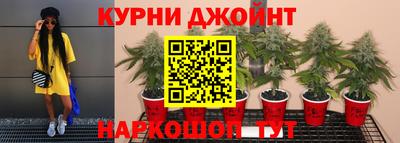прущие грибы Ставрополь