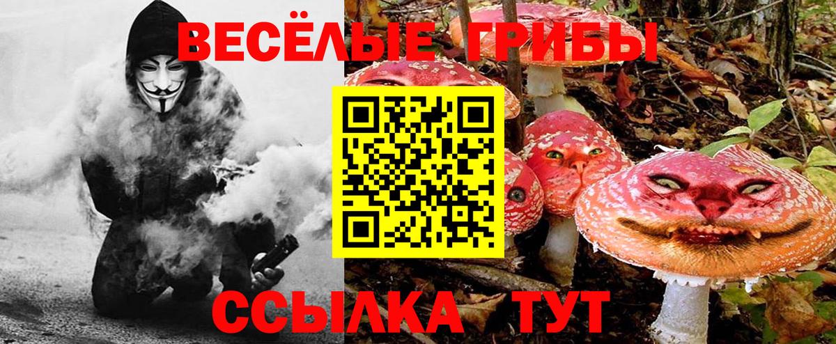 Галлюциногенные грибы Psilocybine cubensis Новотроицк