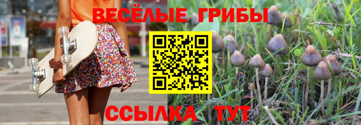 Псилоцибиновые грибы мухоморы  Вход с VPN  Псилоцибиновые грибы ЛСД  Новотроицк 